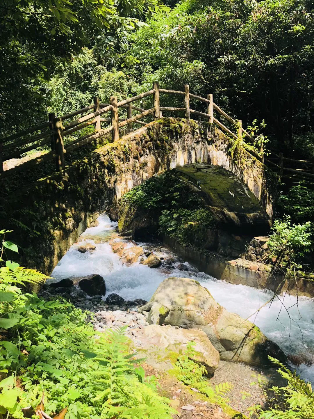 我家面粉从不蒸馒头，加1把玉米粒，不放油盐糖，出锅比肉还香